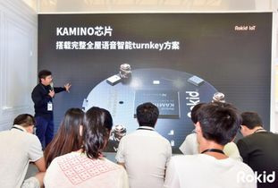 Rokid引領全屋智能語音化新紀元 AI人工智能產品技術的創新開發與應用
